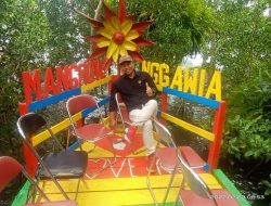 Berkunjung di Desa Nggawia Tersedia Wisata Manggrove & Potensi Unggulan Kopi Tanambi