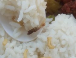 Disesali…! Asupan Makanan Atlit Popda Asal Parimo di Morowali ‘Tercampur’ Ulat