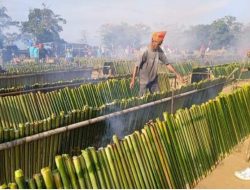 Rekor Pembakaran Nasi Bambu 7000 Ruas di FDP Tentena Raih Piagam MURI