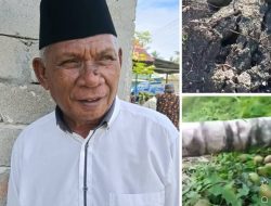 Bencana Longsor Tanah Gunung Desa Pokobo di Buol, Pemda Diminta Hadir Mengatasinya