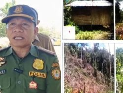 Pemda Buol & Dishut Sulteng Sikapi Aktivitas Pembukaan Lahan Perkebunan Di Kawasan Hutan Produksi Desa Pajeko