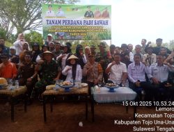 Pemda Touna Dan Kodim 1307-Poso Tanam Perdana Padi Sawah di Desa Lemoro