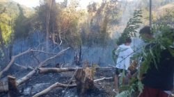 BREAKING NEWS: Api Menggila di Sakina Jaya, 10 Hektare Kebun Terbakar! Polisi Peringatkan Sanksi Berat