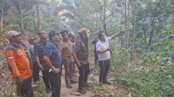 Karhutla Hantam Sumber Nafkah Rakyat, Bupati Parigi Moutong Turun Langsung Pastikan Negara Hadir