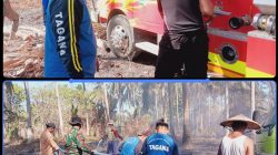 Karhutla Parigi Moutong Belum Padam, TAGANA Surati Mensos hingga Gubernur Minta Bantuan Mendesak