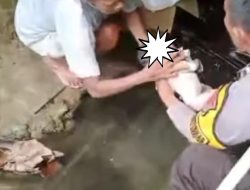 Penemuan Mayat Bayi Perempuan di Ogodeide, Polisi Lakukan Penyelidikan