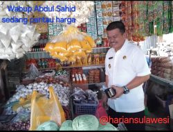 Diam-diam Turun ke Pasar, Wabup Parigi Moutong Cek Harga Sembako Jelang Berbuka