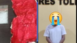 Kepala Desa di Tolitoli Ditangkap Polisi, Diduga Buang Sabu Saat Digerebek