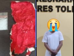 Kepala Desa di Tolitoli Ditangkap Polisi, Diduga Buang Sabu Saat Digerebek