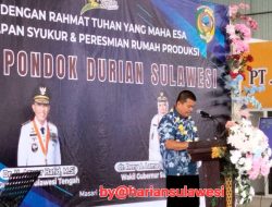 Tembus Pasar Ekspor, Parimo Perkuat Hilirisasi Durian Lewat Packing House